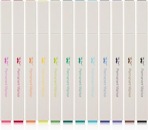 Mr. Pen - Marcadores permanentes, 12 colores, punta fina, marcadores permanentes estéticos de color, marcadores permanentes de colores surtidos,