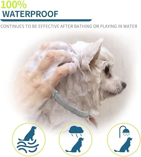 Miniatura 4 de Collar de pulgas para perros, collares de pulgas y garrapatas para perros pequeños, 15.5 pulgadas, protección de 8 meses (paquete de 1), color gris
