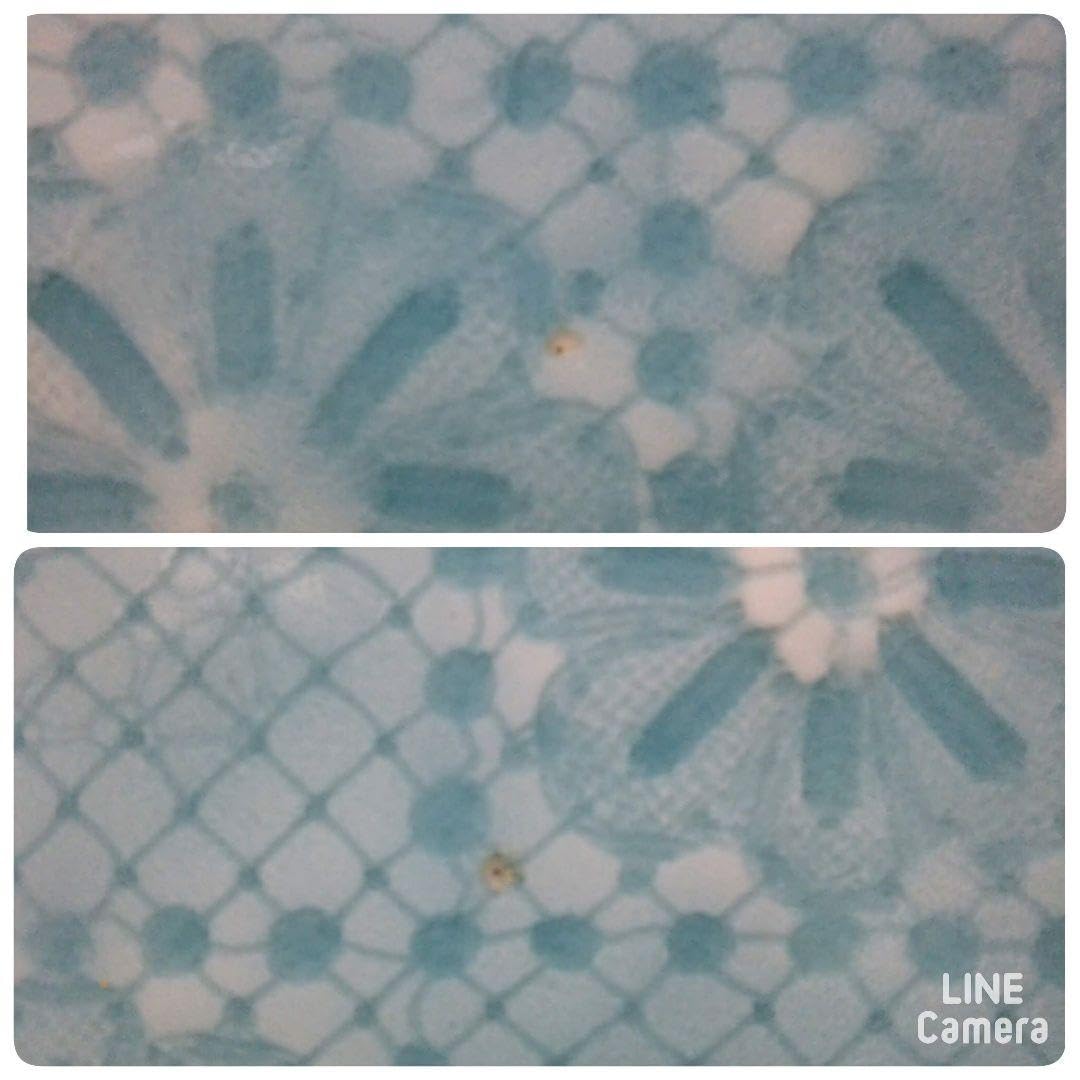 Amazon.co.jp: 有田焼真光窯青磁手造菓子鉢 破魔 : ホーム＆キッチン