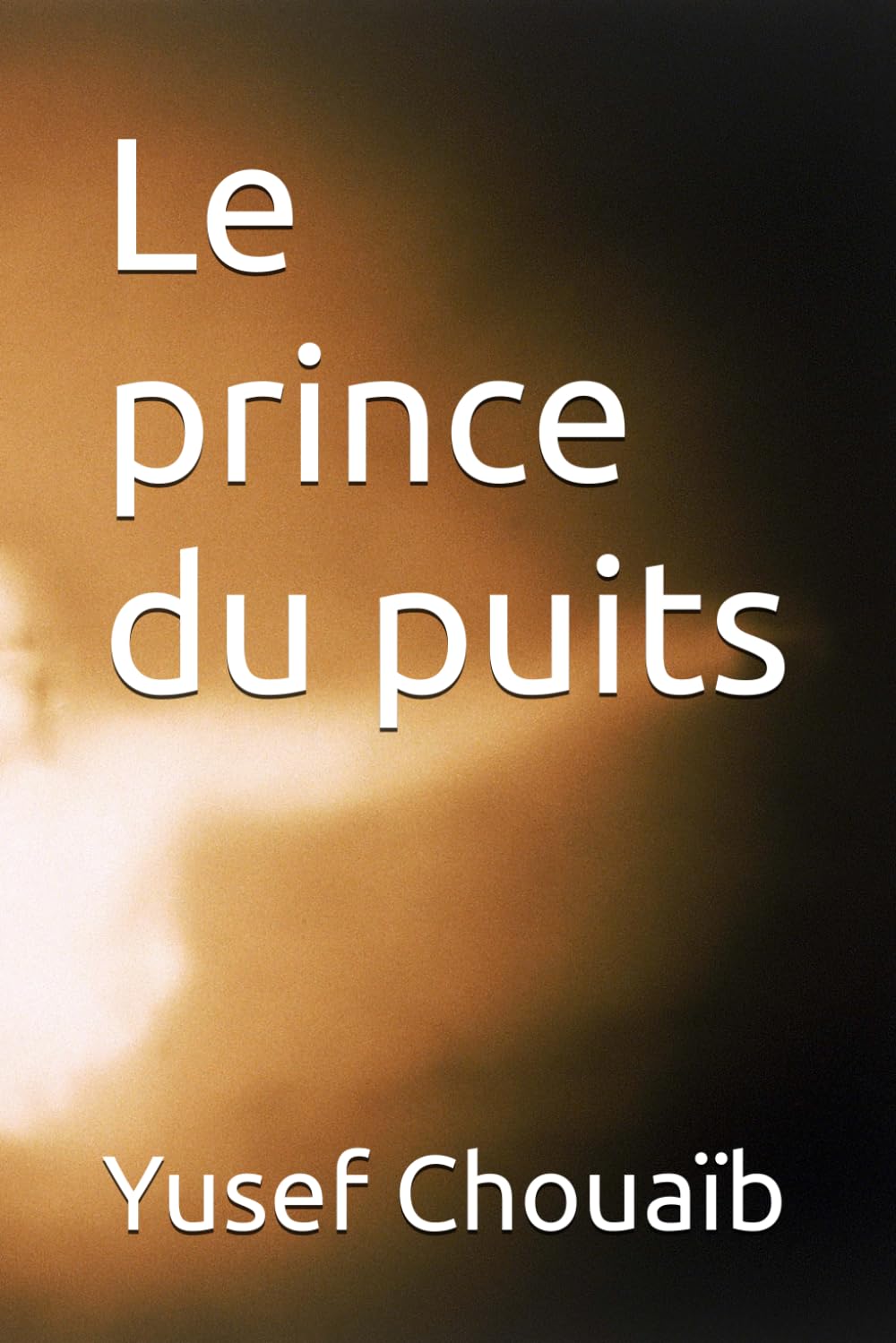 Le prince du puits