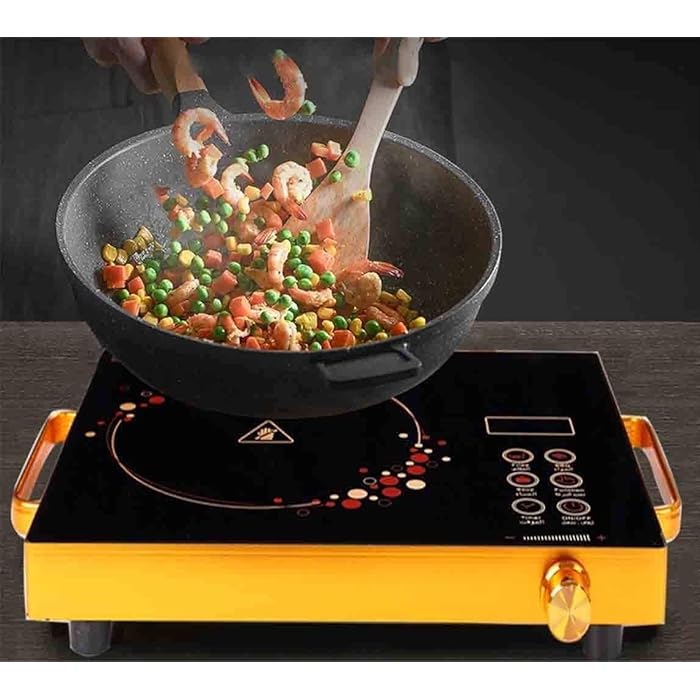 Buy Lucario Portable Induction Stove, 2000Watt 230Volts Induction Cooker Smart Touch Sensor