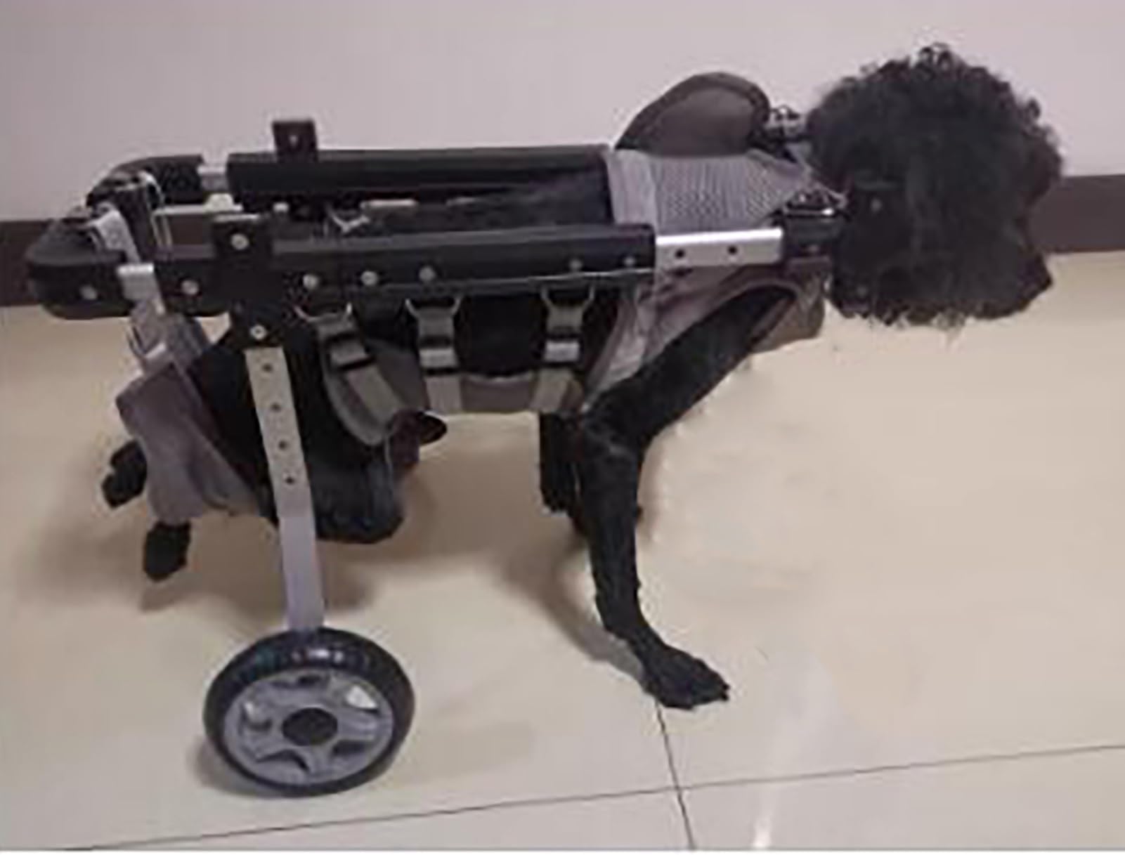 Hunderollstuhl, Hunderollstuhl mit Vier Rädern, Hundewagen für Vorder-/Hinterbeine, Vollrollstuhl für Hunde mit Bauchgurt, Haustier-Lauflernwagen für Hunde (klein)