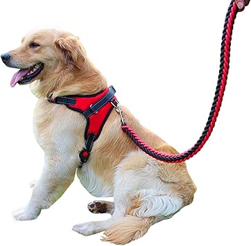 Amazon Otoku ハーネス リード付き 胴輪 首輪 犬 猫 小型 中型 大型 軽量 安全 通気 着やすい 調節でき 夜間反射 出かけ 散歩 歩行補助 多色 多サイズ 多選択 Xs 赤 Otoku ハーネス 通販