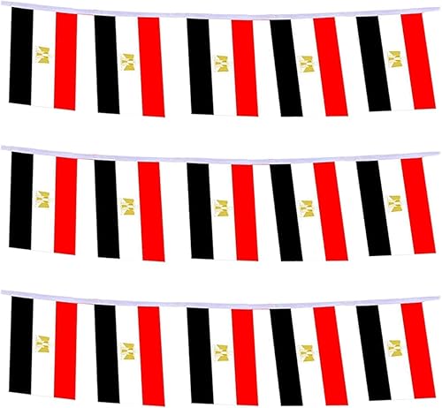 Miniatura 7 de Bandera de Costa Rica Bandera Costarricense, Banderas de Costa Rica de Cuerda Pequeña Mini Banderín de Banderas Costarricenses, Usadas para Fiestas