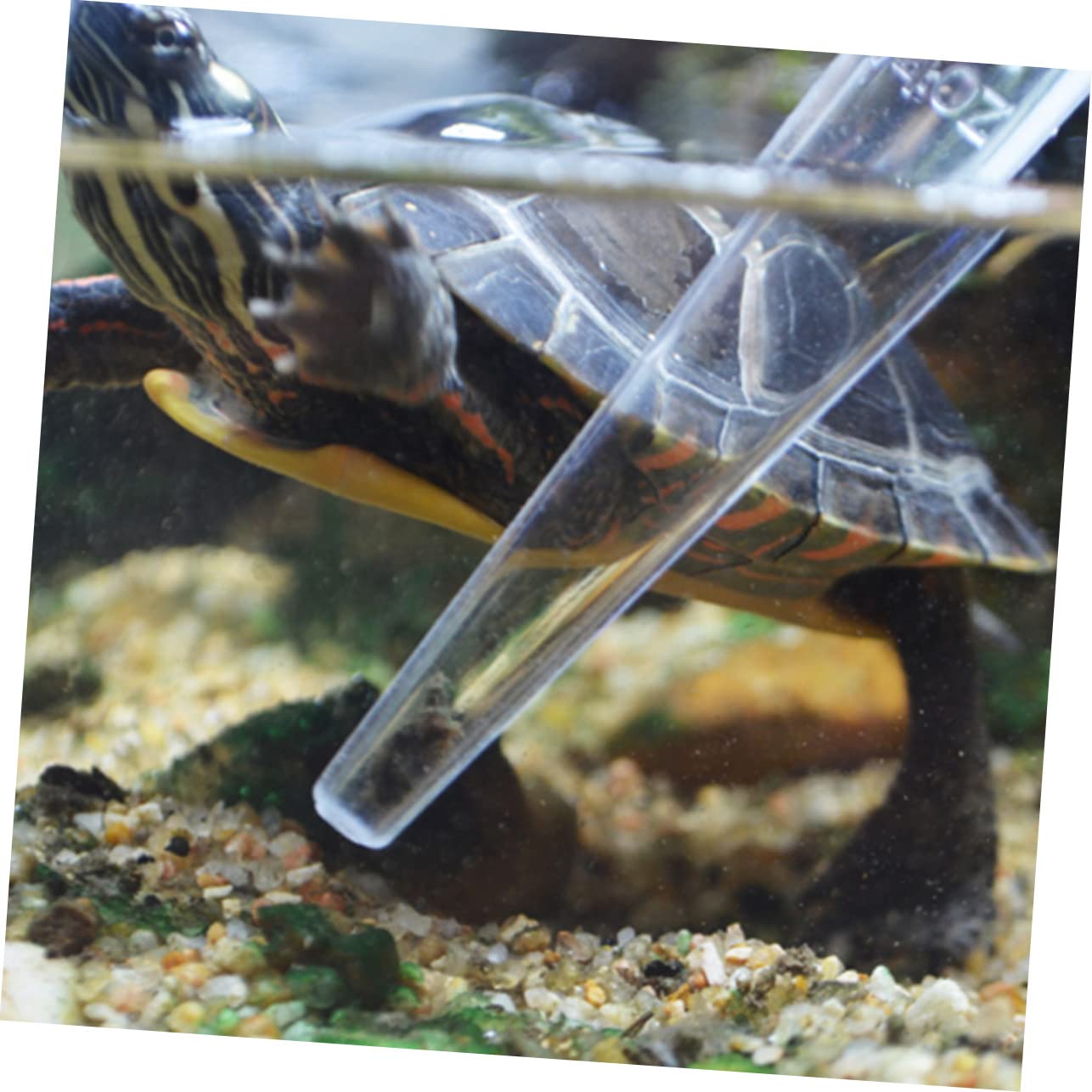 BESPORTBLE 2sets Fish Tank Kit 30ml Aquarium Pipette Rv Tank Fish Scraper Tools 2pcs*2