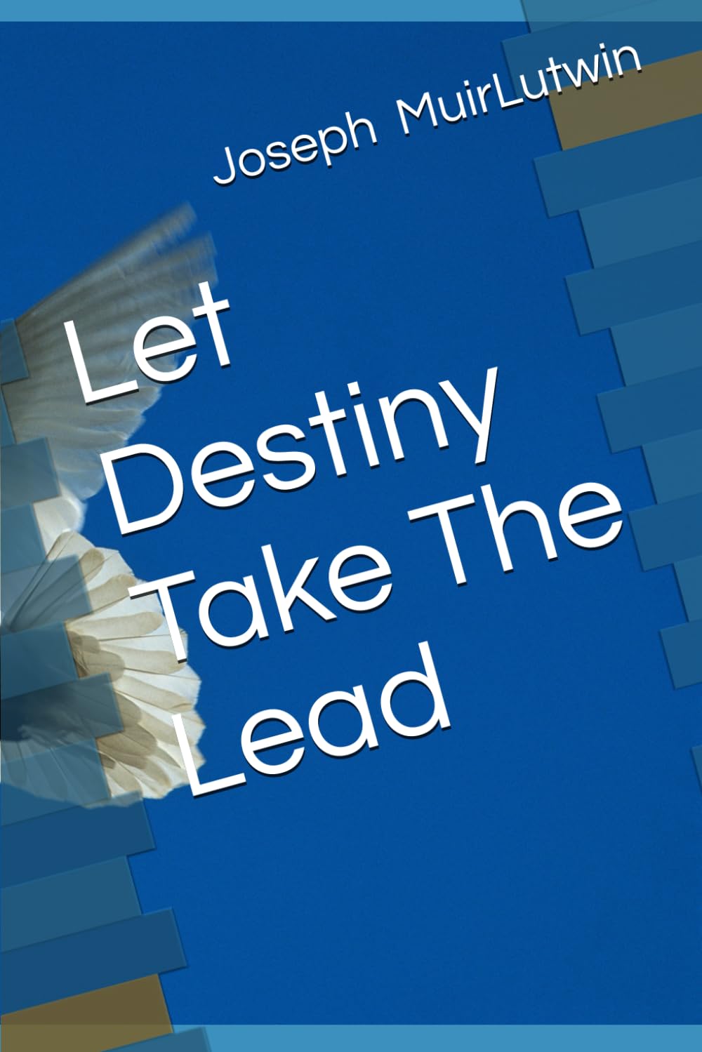 Let Destiny Take The Lead