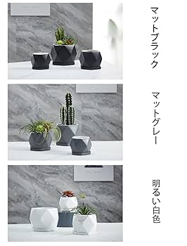落款印 2つセット 六角形陶器植木鉢 彫刻模様付き 落鑑2個