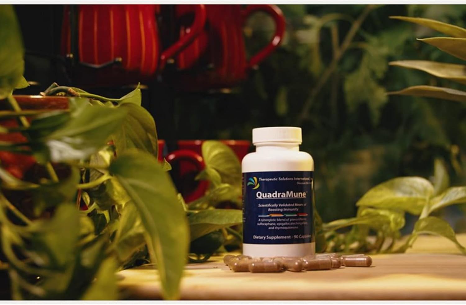 Multi-Patented All Natural Dietary Supplement for Immune Support with a Synergistic Blend of Pterostilbene, Broccoli Sprout Extract, Green Tea Extract, & Nigella Sativa