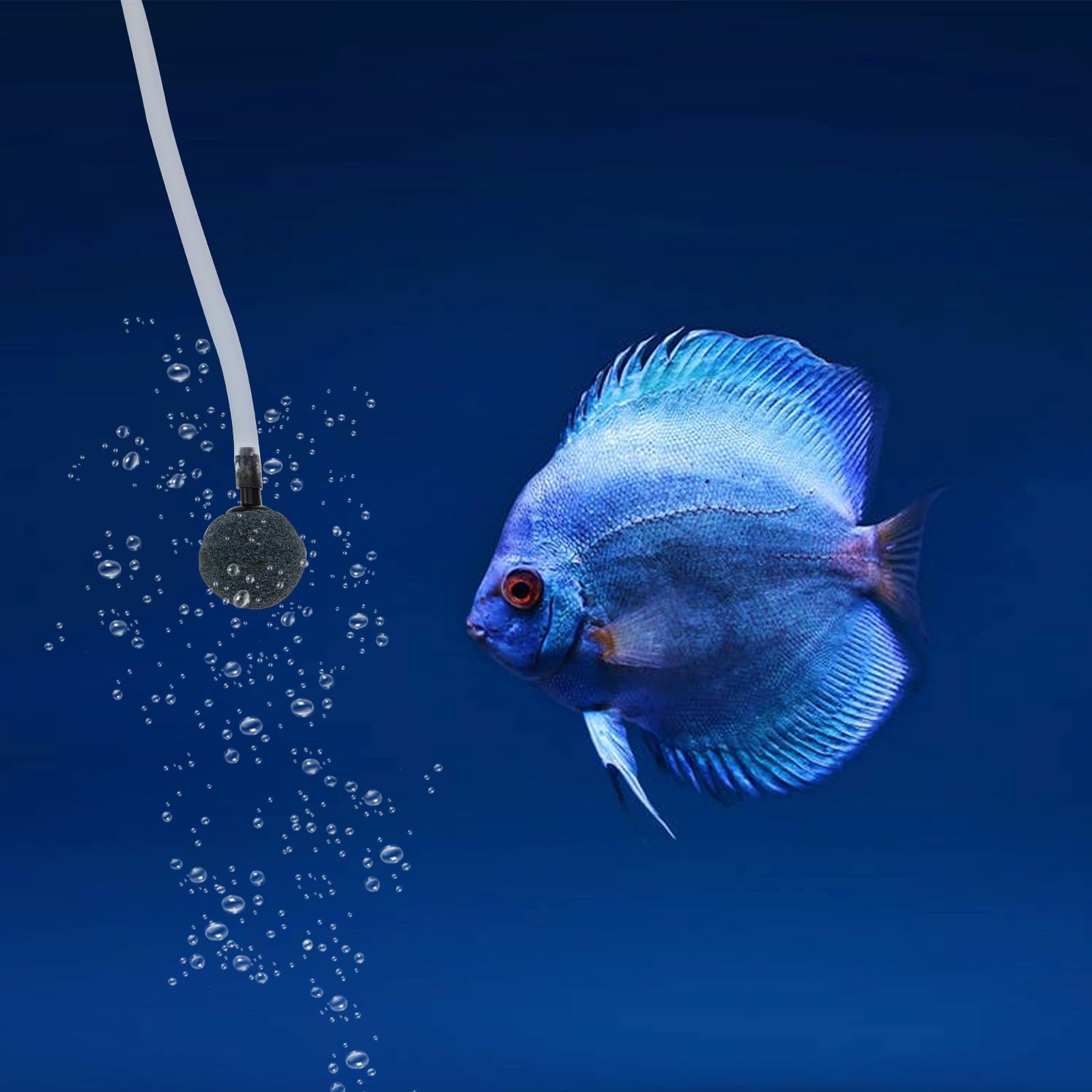 VALICLUD Solarbetriebene Sauerstoffpumpe für Teich Aquarium Tragbare Luftpumpe Kompakt und Langlebig Sauerstoffbelüfter für Fische und Gartenteiche