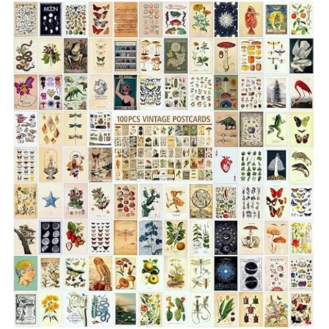 LCLAIDYDY 100 PCS Vintage Postcard Set,Post Cards for Mailing 4x6 Retro Style Cottagecore Botanical Ephemera Aesthetic Postcards Pack for Adults Collage Collection DIY Cardstock Paper Cover