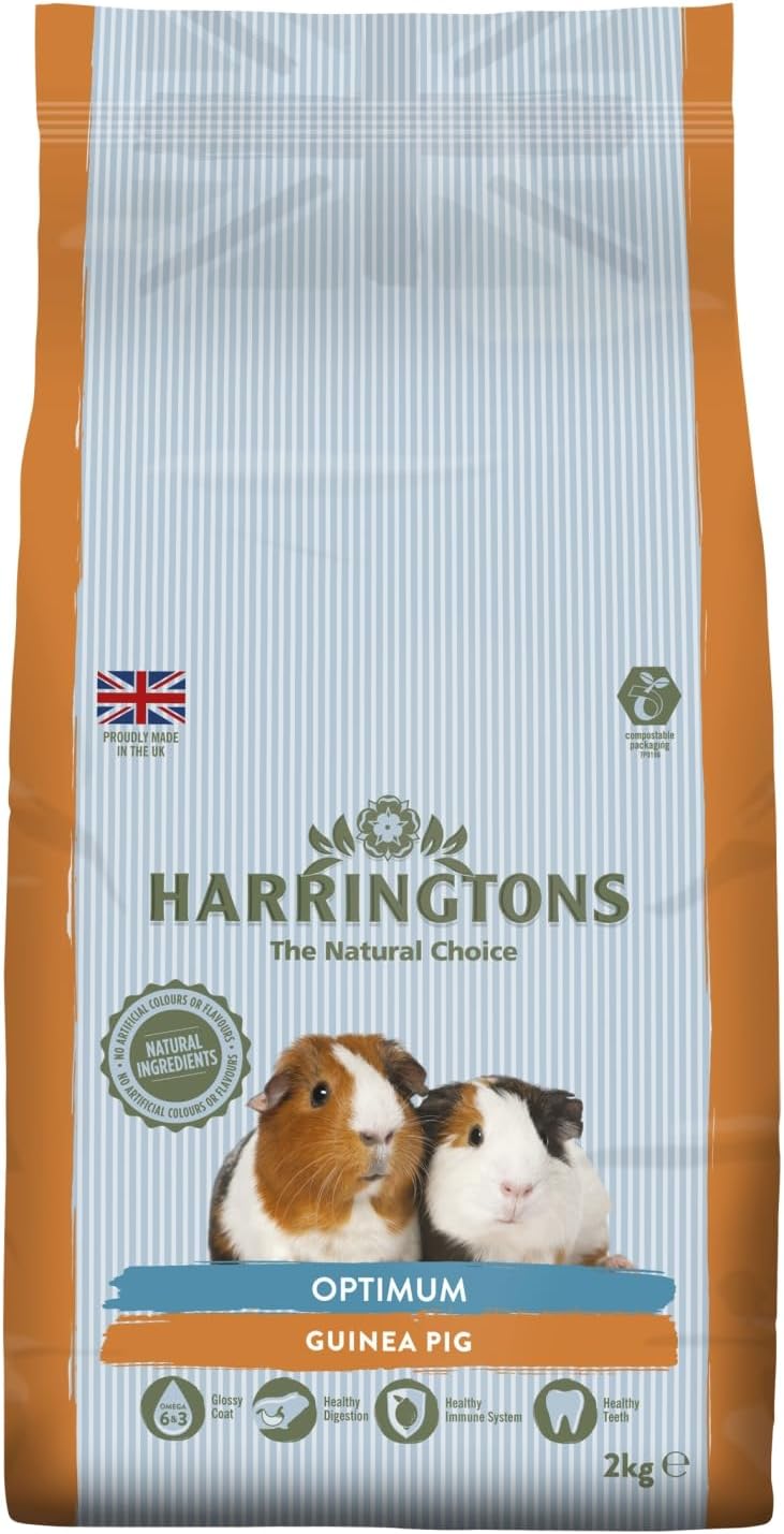 Food Recommendations For Guinea Pig Digestive Health photo