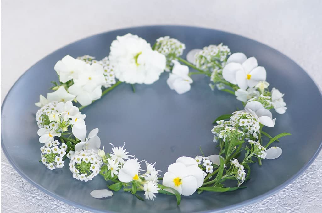 Amazon.co.jp: 【白銀の世界に凛と咲く花】 スノーホワイト 白いお花の