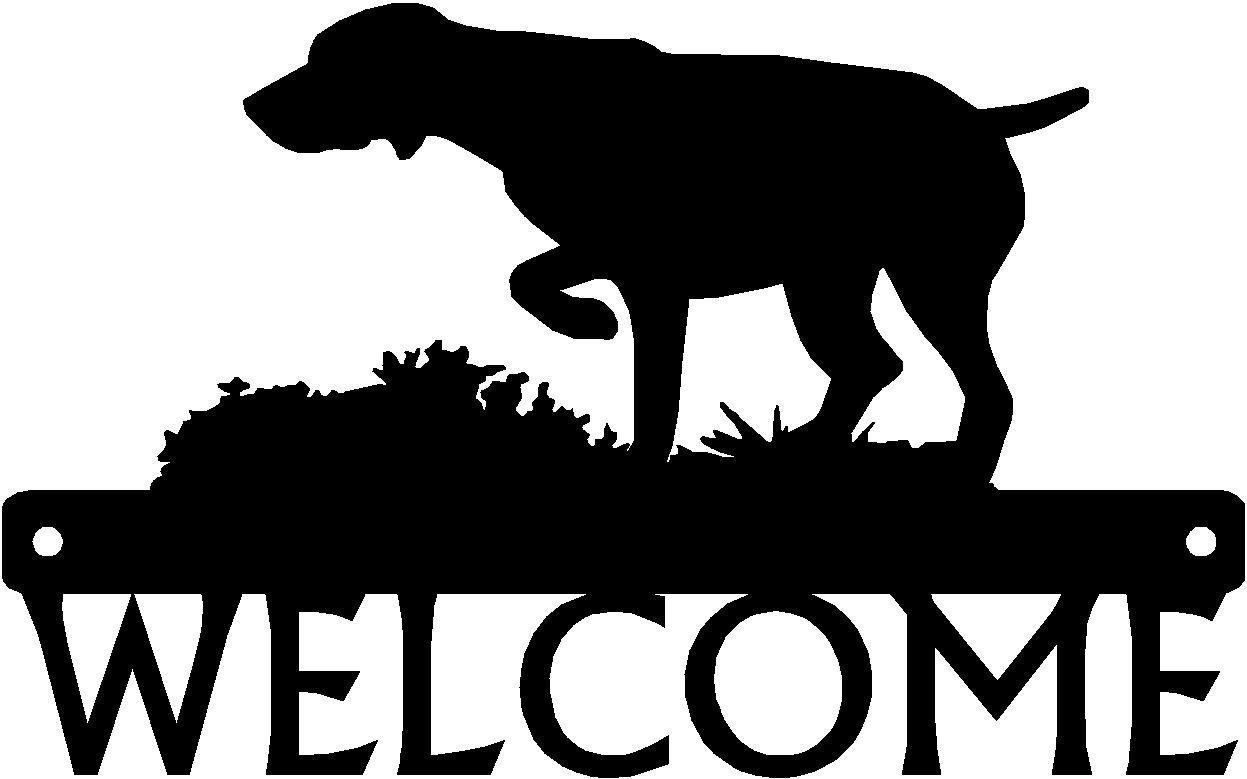 German Shorthaired Pointer On Point