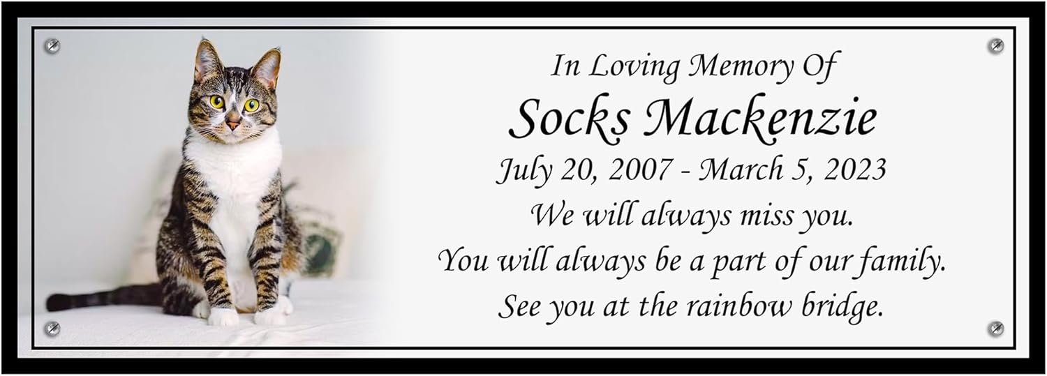 Photo Memorial Bench Plate For Pets or Humans, Personalized Plaque, Building Sign, Engraved Tree Plaque, Custom Engraving, Multiple Sizes (White, One Photo)