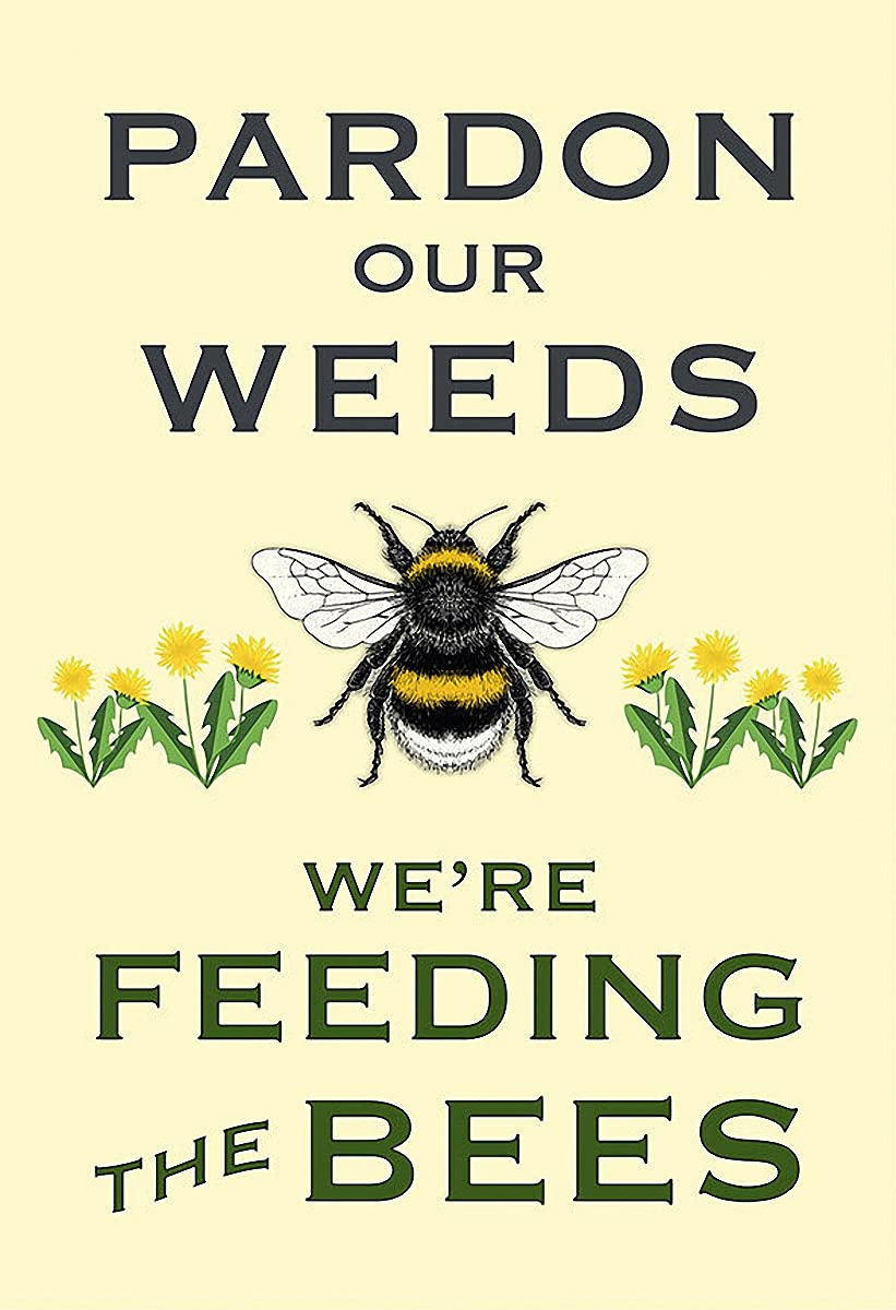 Forgive Our Weeds we are Feeding The Bee