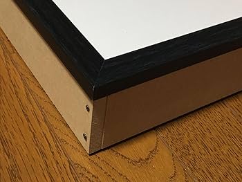 Amazon | 標本箱A3サイズ | 生態・採集 | おもちゃ