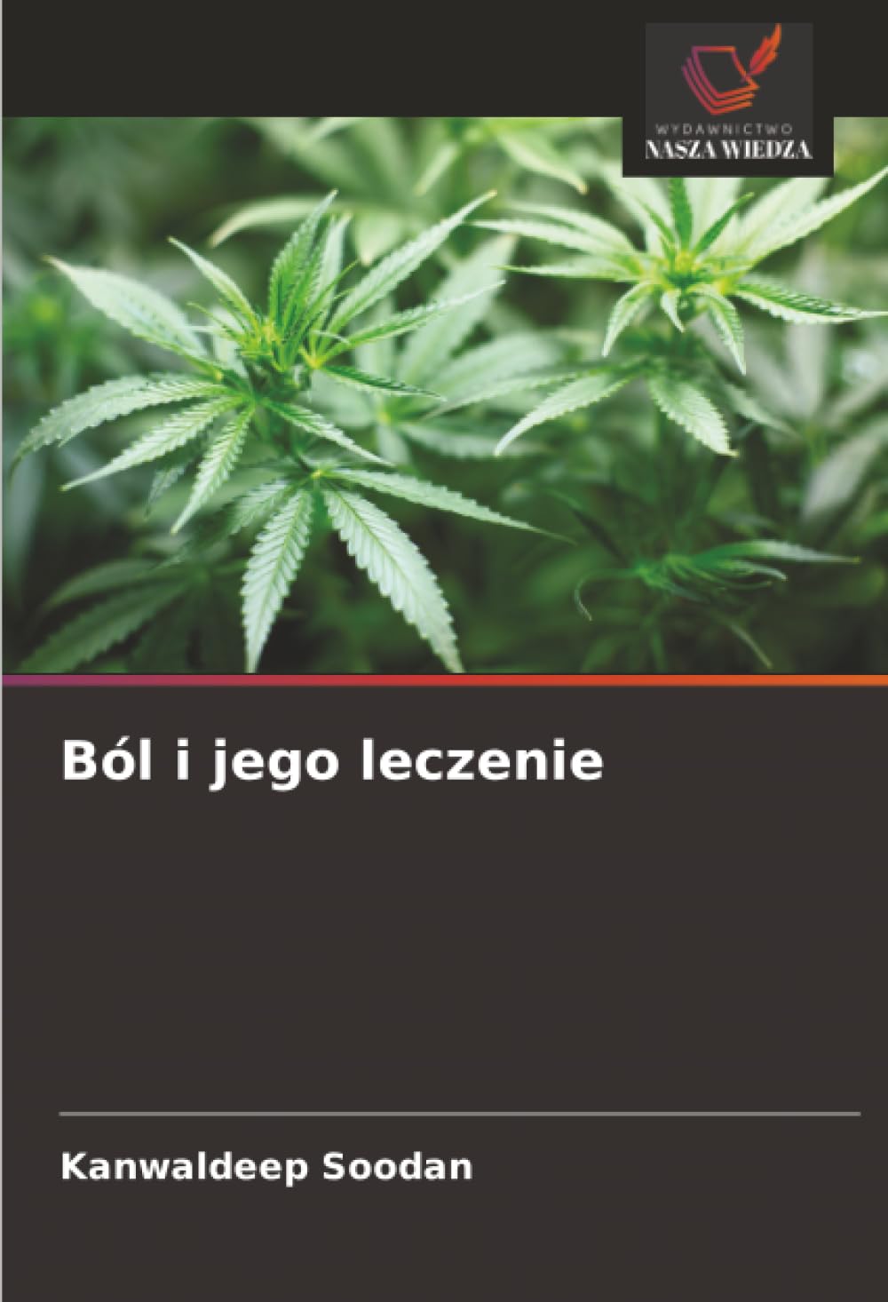 Ból i jego leczenie