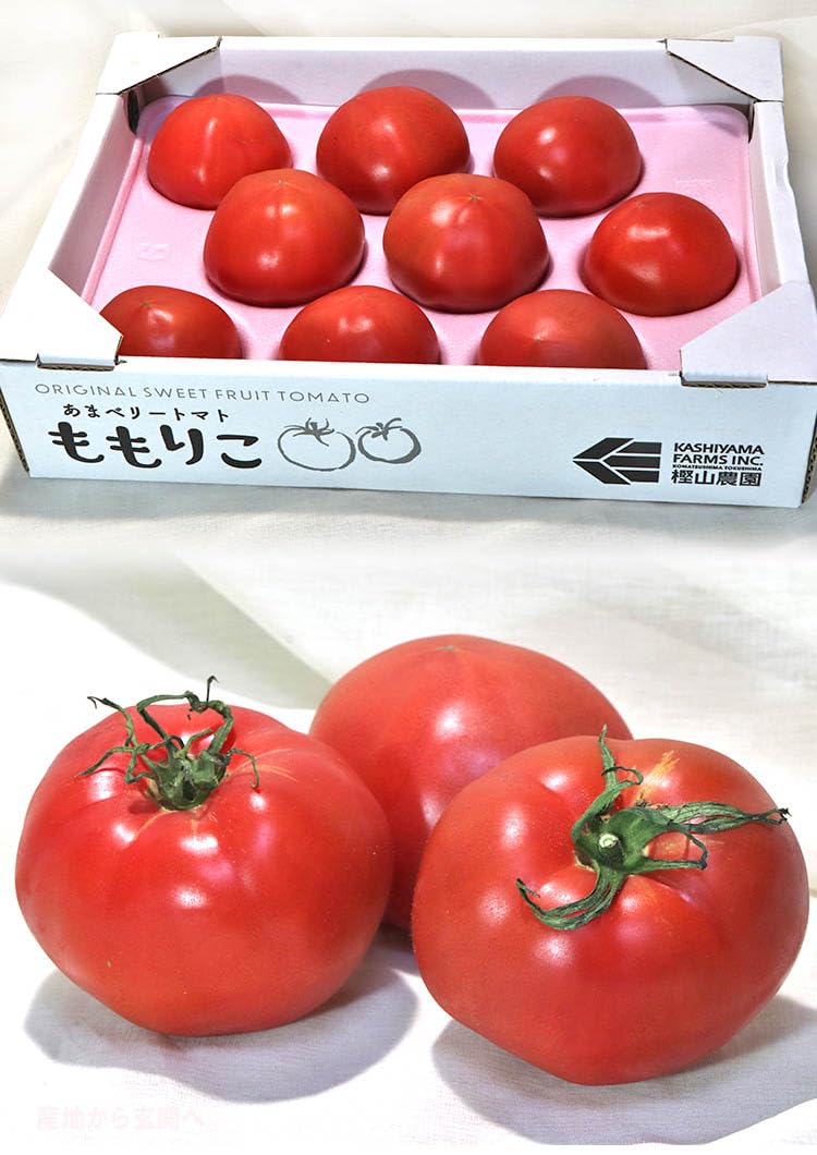 Amazon.co.jp: ももりこトマト 約1kg 8～15玉 徳島県産 樫山農園 糖度