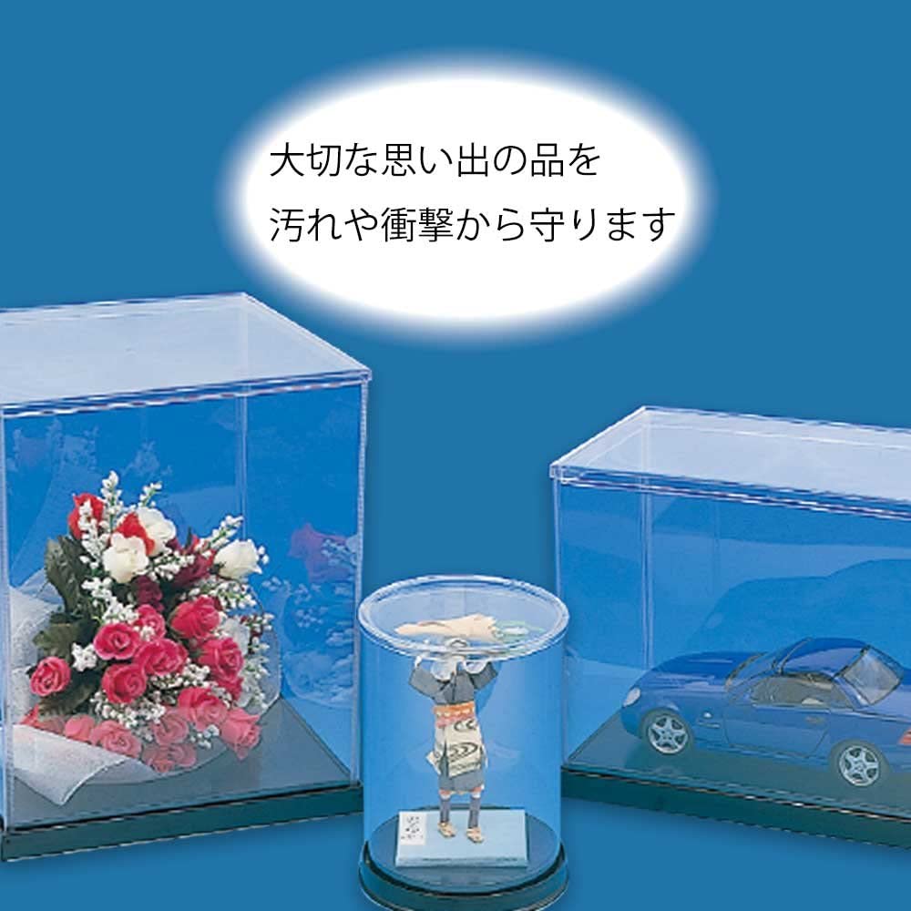 Amazon.co.jp: ヘイコー コレクションケース 展示用 ウインナー