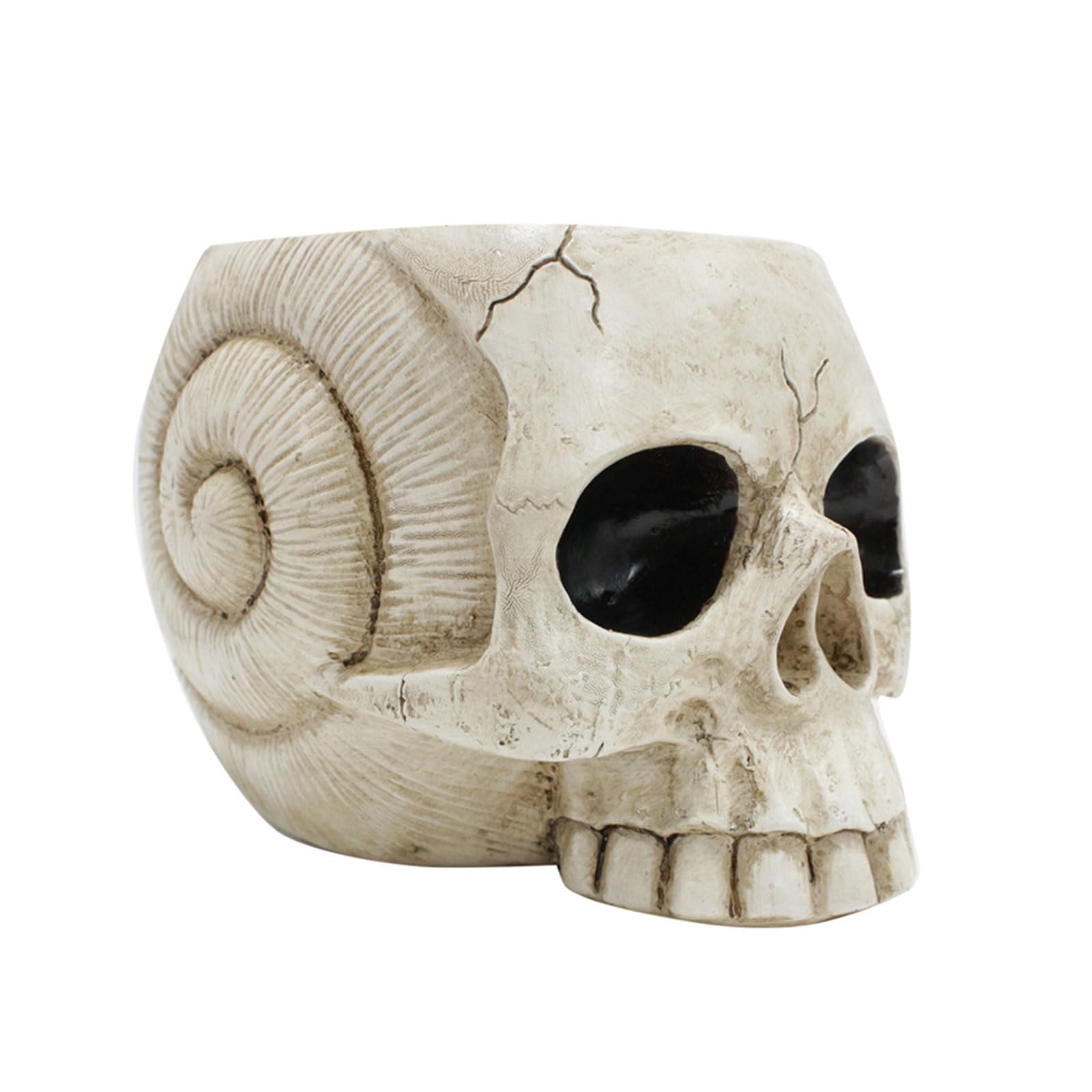 HZGFNBZ Resin Skull Flower Pots Home Garden Decors Halloween Skeleton Flowerpot Planter Container Desktop Decoration Skull Planter for Indoor Plant