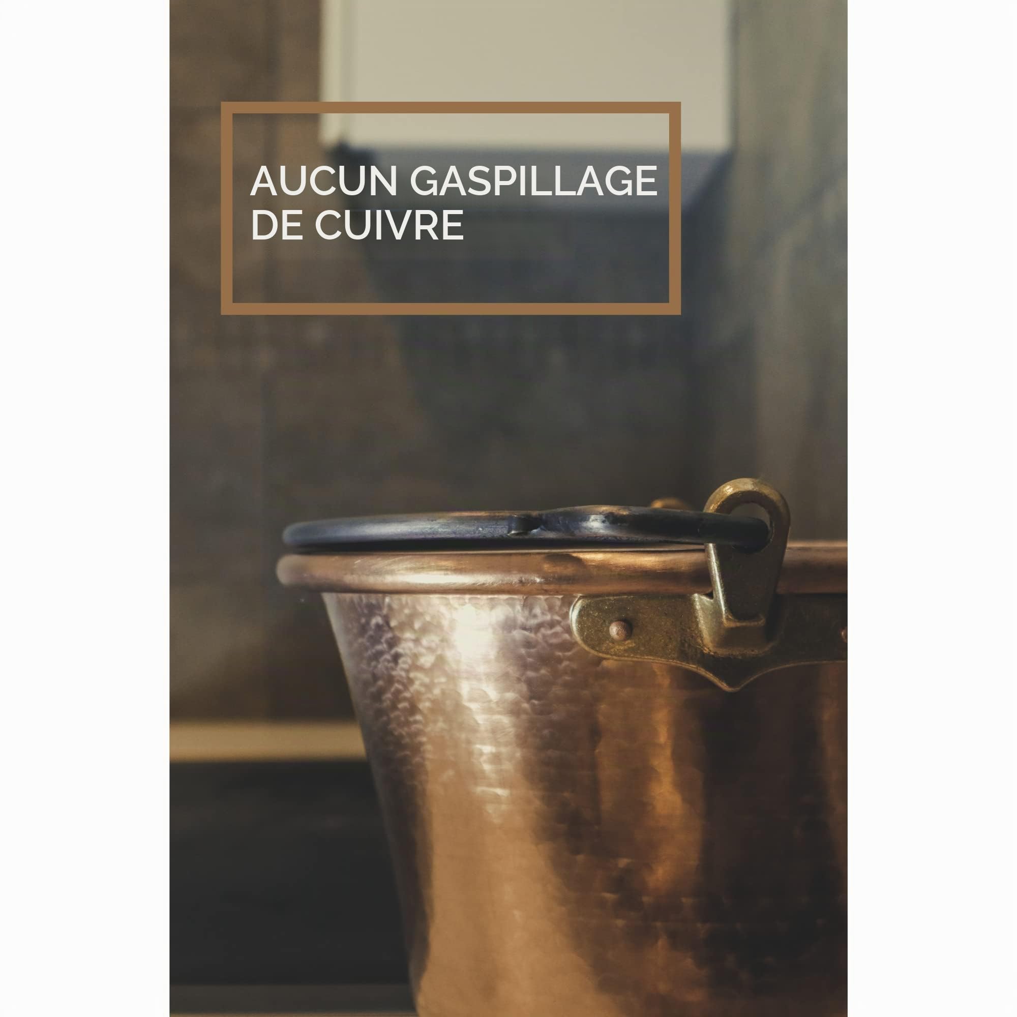 CREARTISTIC Chaudron pour Polenta avec Poignée en Fer Forgé - 25 cm, 3.5L Casserole Cuivre, Massif Martelé à la Main, pour le Fromage et la Pâtisserie, 4/5 personnes, Fait Main - 100% Made in Italy