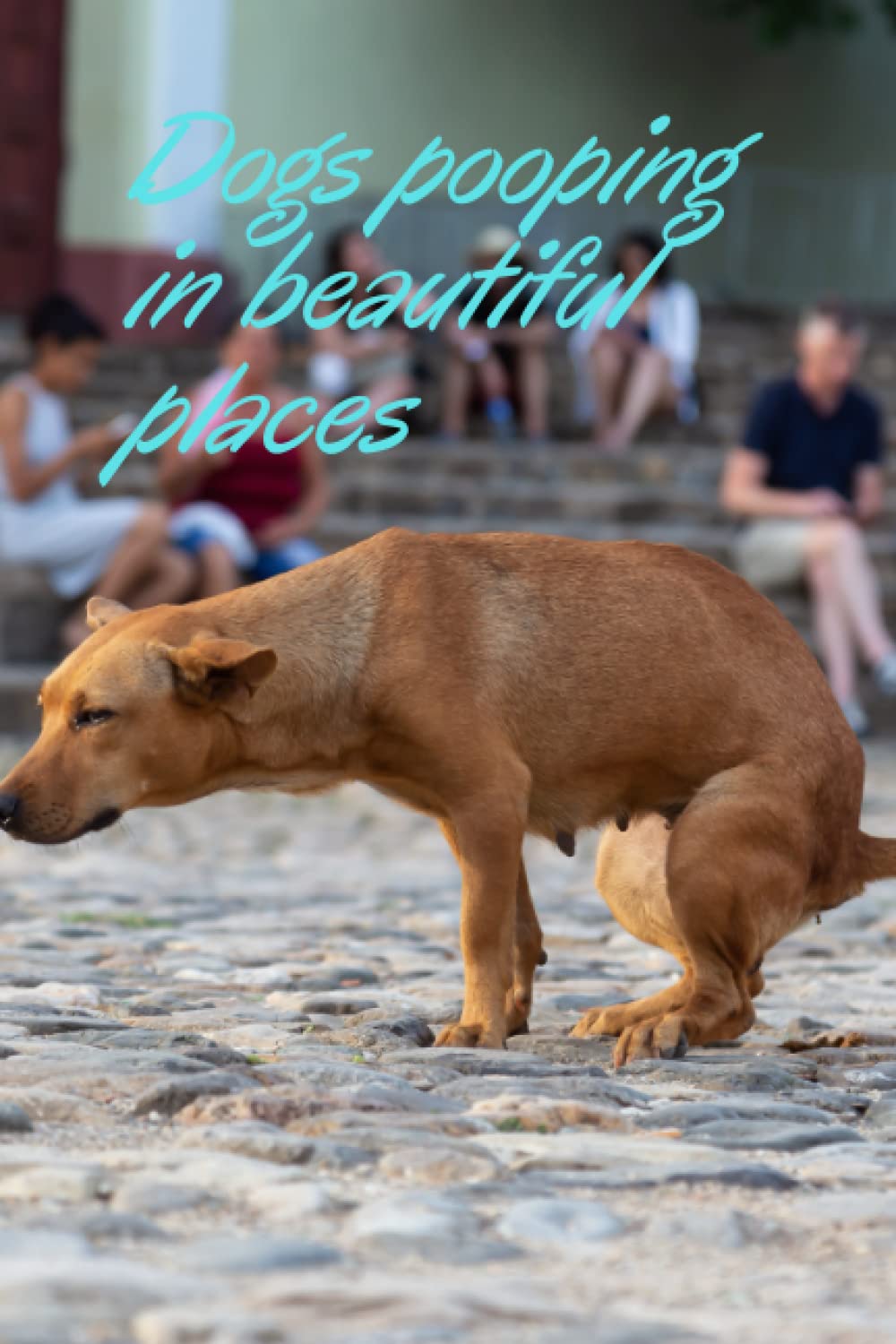 Dogs Pooping In Beautiful Places Ubicaciondepersonas cdmx gob mx dogs-pooping-in-beautiful-places-ubicaciondepersonas-cdmx-gob-mx