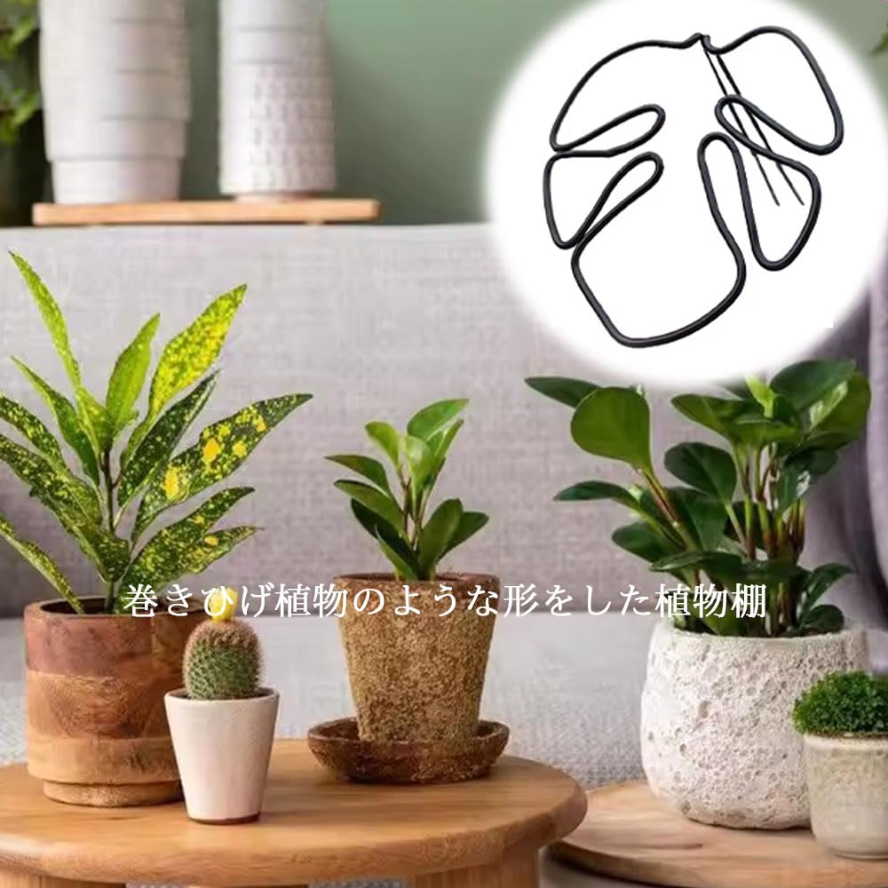Amazon | GLOWZEN モンステラ 支柱 園芸支柱 観葉植物 植物サポート 花