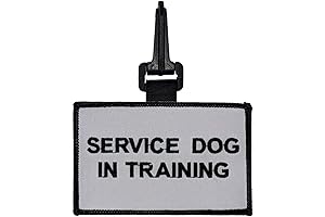 Service Dog in Training Snap On Patch - Small