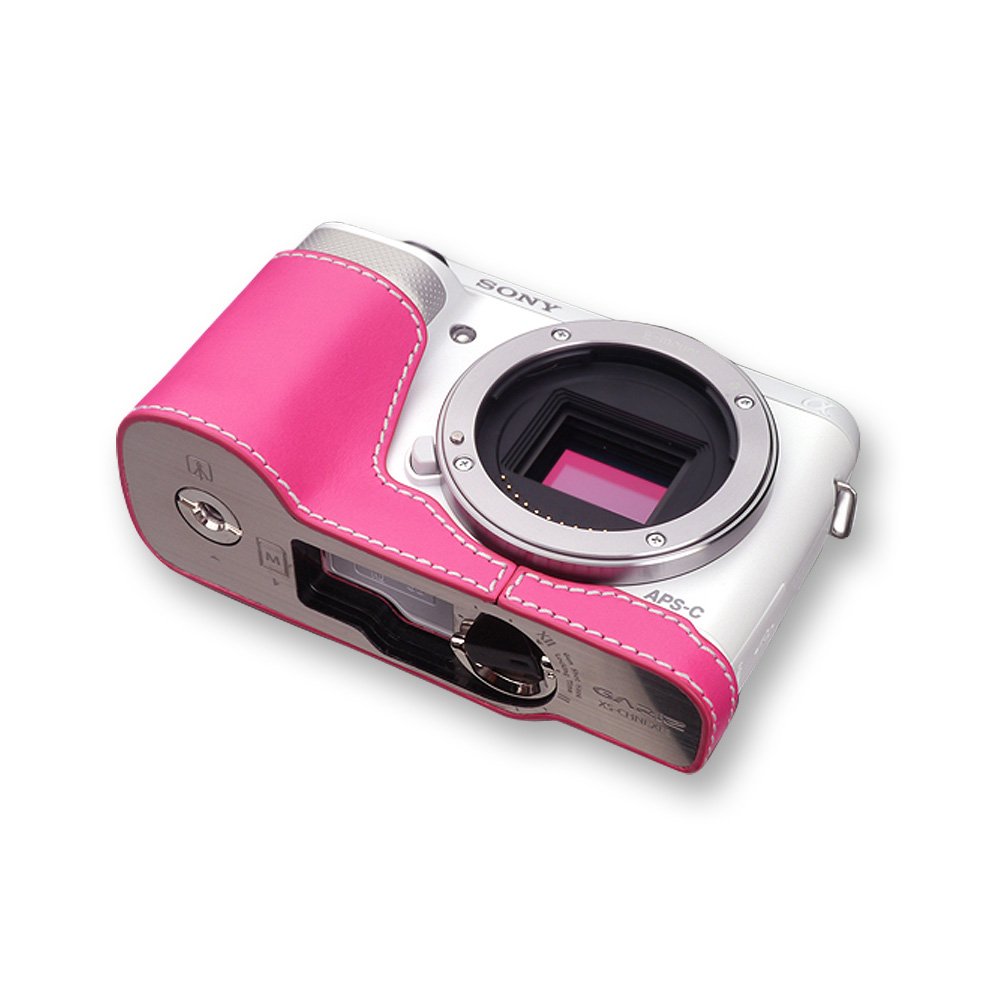 Amazon.co.jp: GARIZ SONY NEX-F3用 本革カメラケース XS-CHNEXF3P 