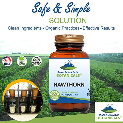 Pure Mountain Botanicals HAWTHORN_BERRY Hawthorn Berry Capsules - Kosher Vegan Caps With 1000Mg Organic Hawthorne Berry Supplement thumb #2