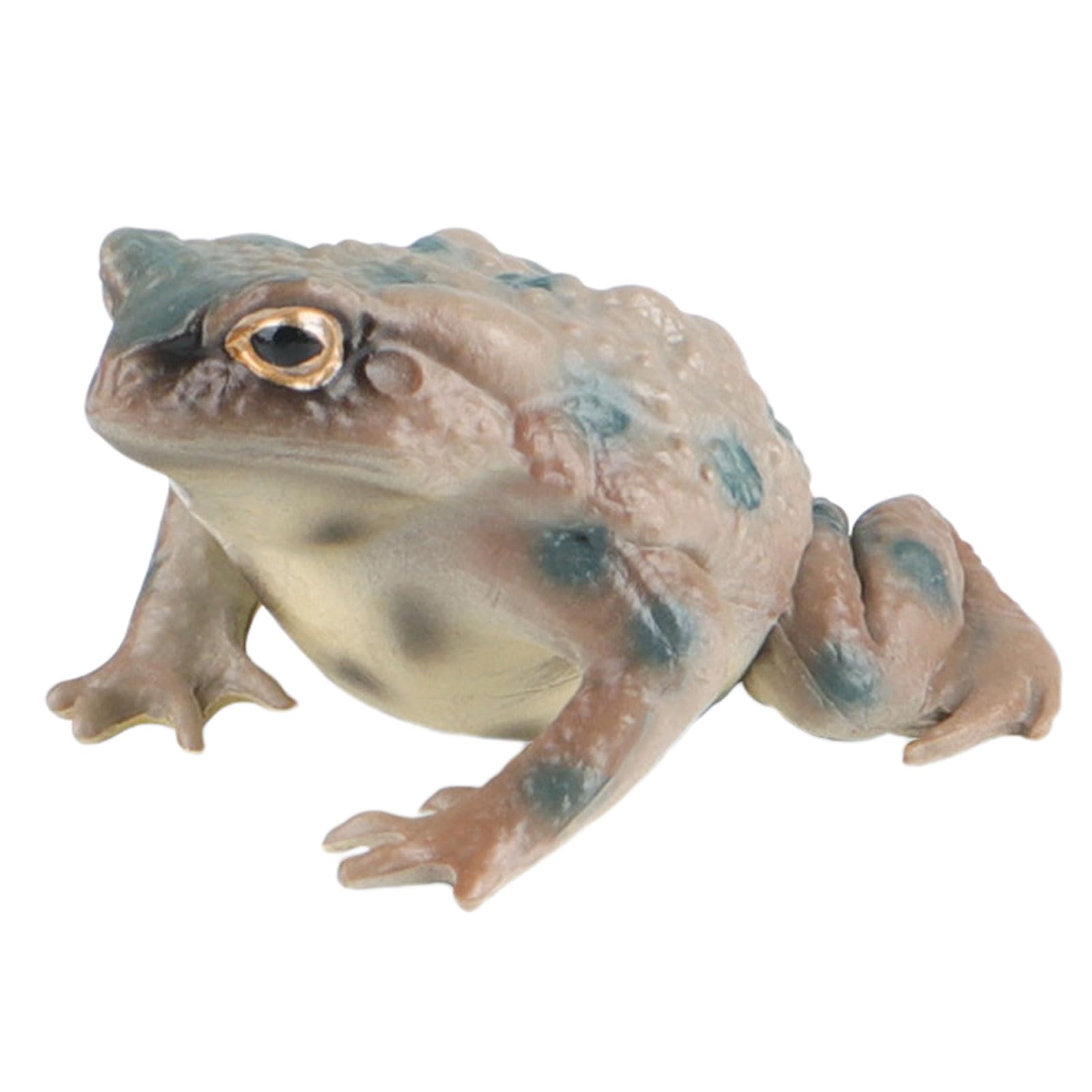 Amazon.com: AENIMELY Realistic Solid Frog and Toad Animal