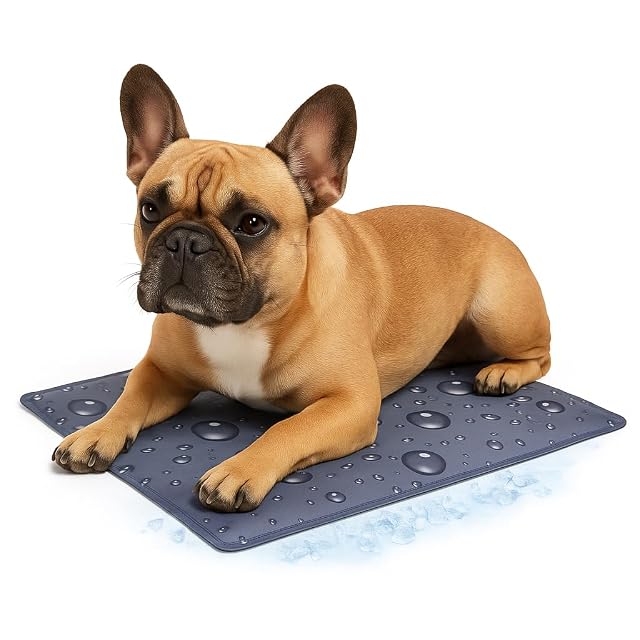 Manta refrescante para Perros - Ideal como Alternativa Piscina Perros - Drop Gris S - 50x40x0,6 cm