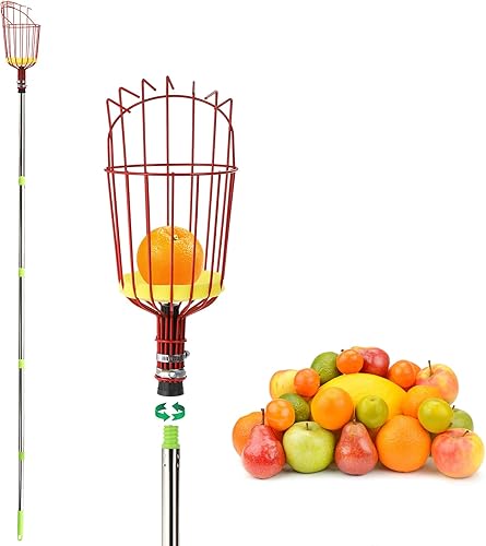 Suwimut Herramienta recolectora de frutas, poste recogedor de frutas extensible de 8 pies con cesta grande giratoria, herramientas de jardinería de