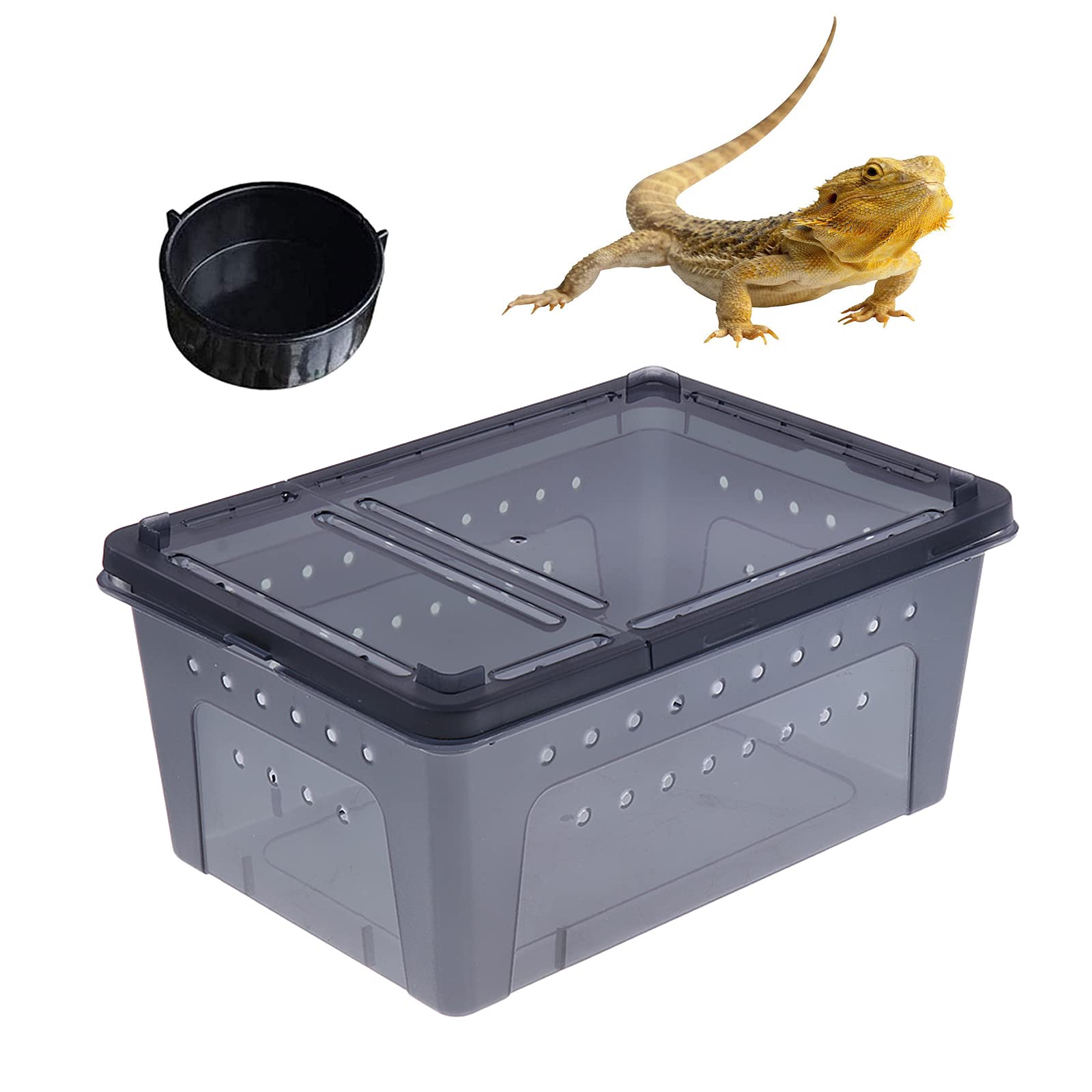 Buy kathson Reptile Feeding Box Small Snake Breeding Container