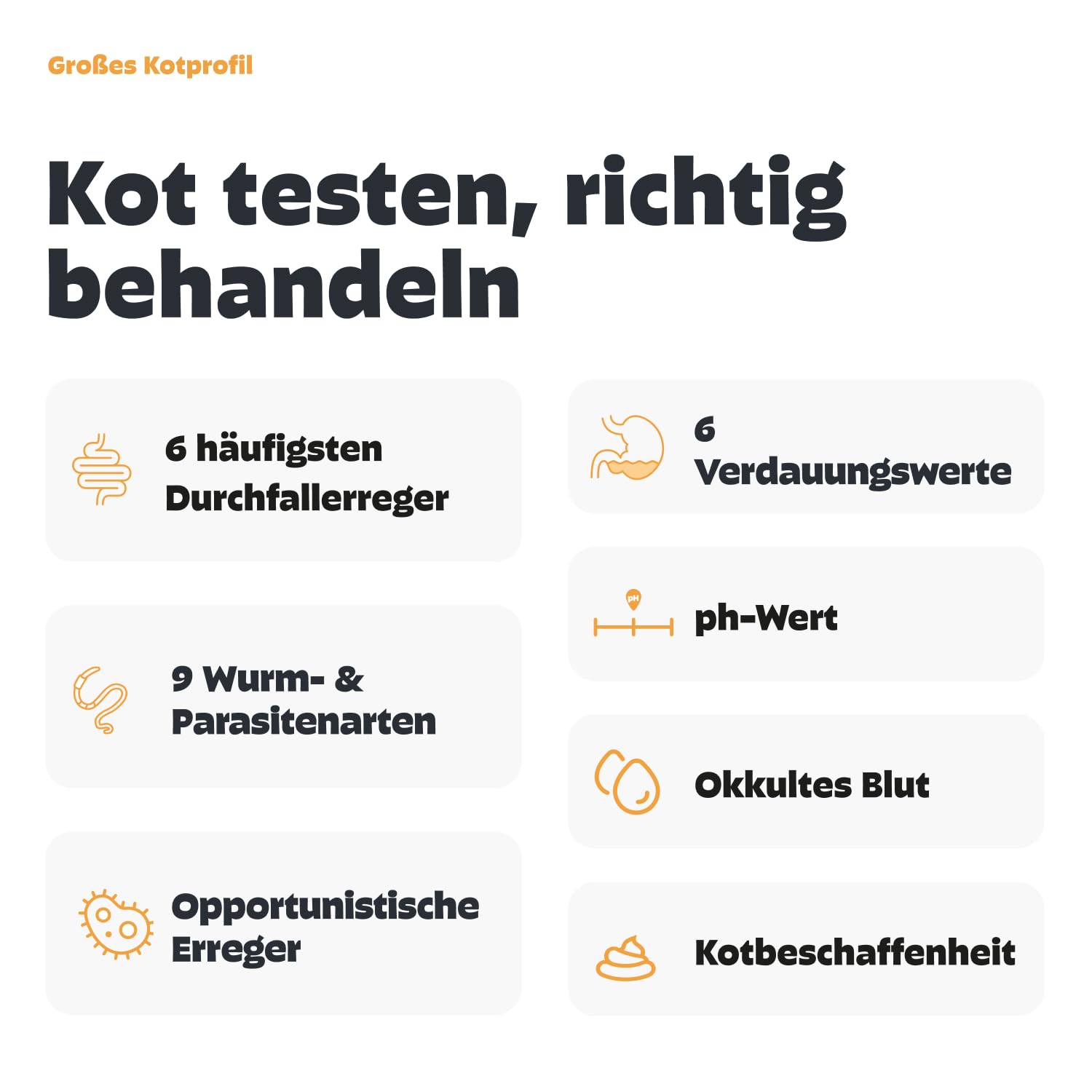 PEZZ Großes Kotprofil 7-in-1 Test für Katzen | Nur eine Probe | Alle häufigsten Parasiten und Würmer & Durchfallerreger, Verdauungsfunktion, Enterotoxin, pH-Wert etc. | gratis Labor-Versand
