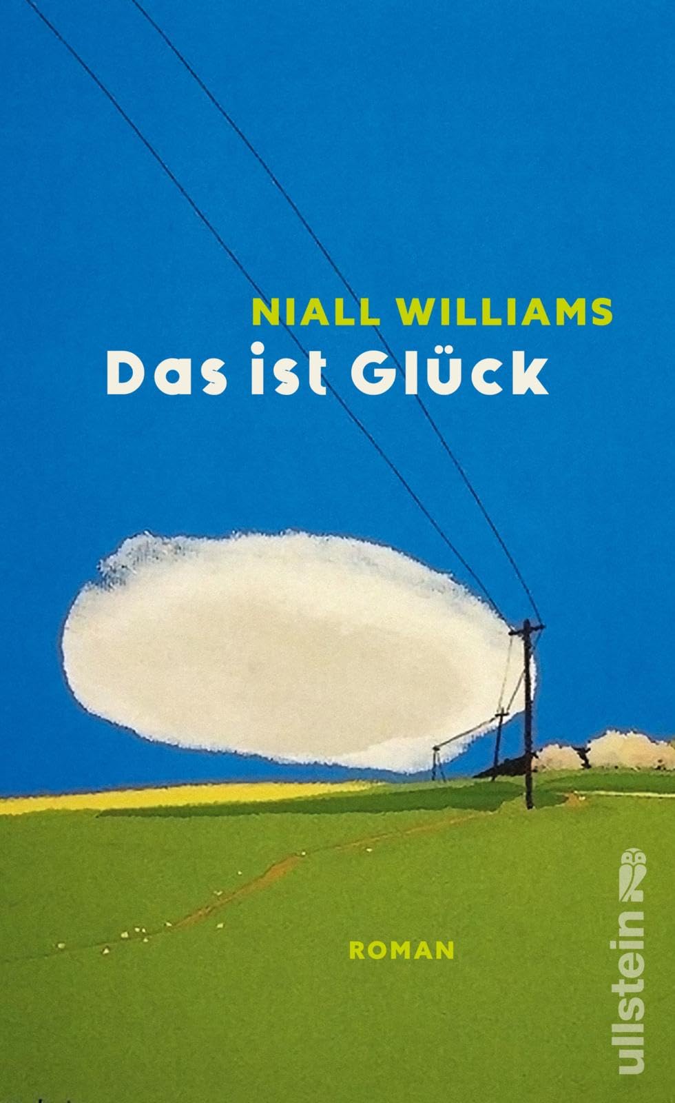 Das ist Glück: Roman | 'Sich in die Seiten von Das ist Glück hineinzubegeben fühlt sich an wie eine Zeitreise und eine Erleuchtung.' Washington Post