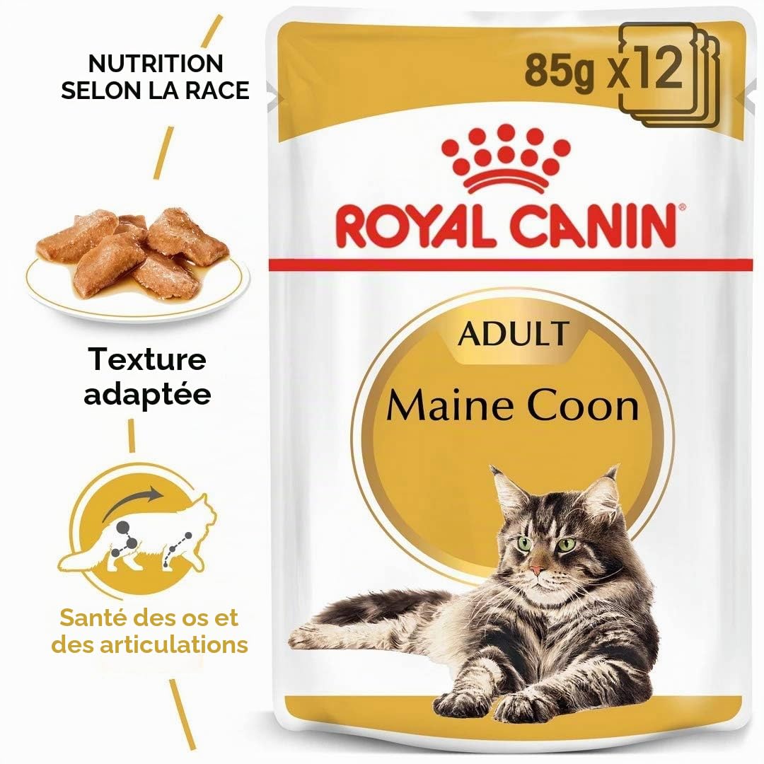 Royal Canin Maine Coon Adult | Pack de 4 | 4 x 12 x 85 g | Aliment Humide pour Chats | Spécialement adapté aux Besoins des Chats Maine Coon | Teneur énergétique adaptée