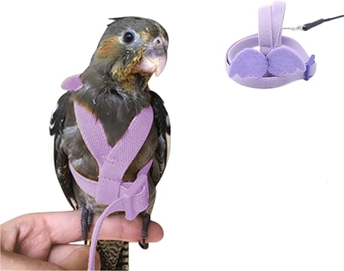 Arnés para pájaros, correa de loro, kit ajustable para volar al aire libre para loro, budgie, tortolito, cacatúa, guacamayo (morado, S)