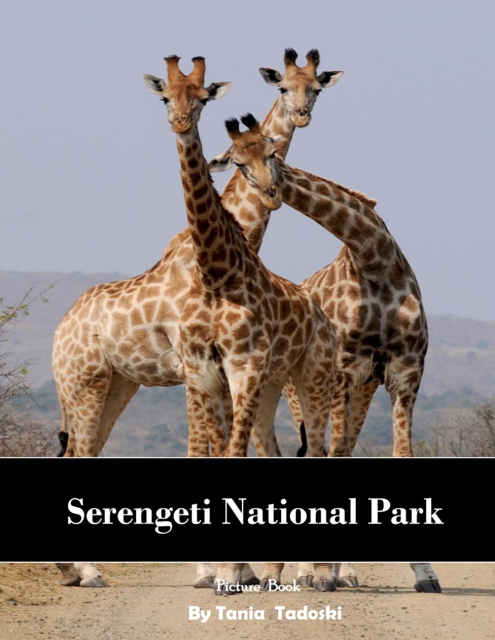 Serengeti National Park: Serengeti: Wildebeest Migration, Lions, Savanna, Sunsets, Safari and More
