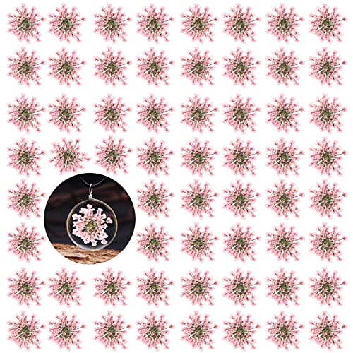 Flores secas naturales prensadas Gypsophila 60 piezas miniatura 1