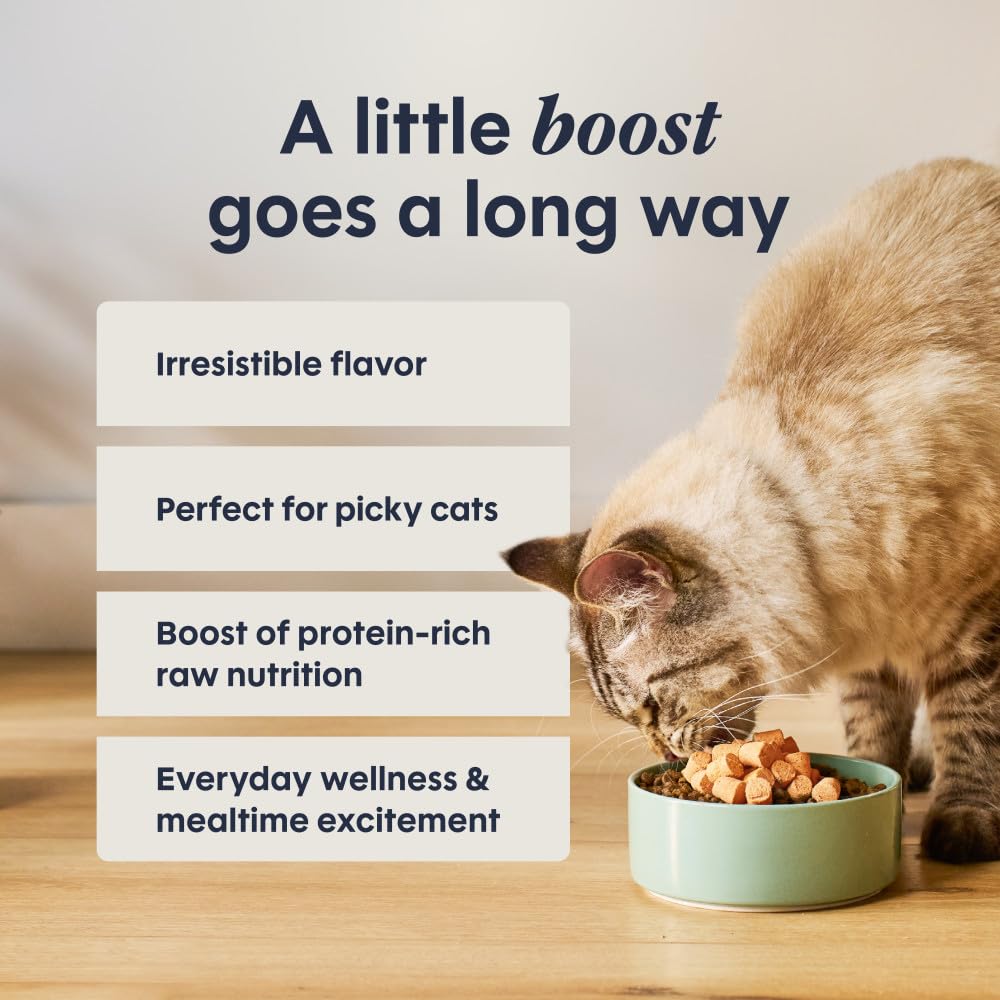 Instinct Freeze Dried Raw Boost Mixers Grain Free Digestive Health Recipe All Natural Cat Food Topper by Nature's Variety, 5.5 oz. Bag