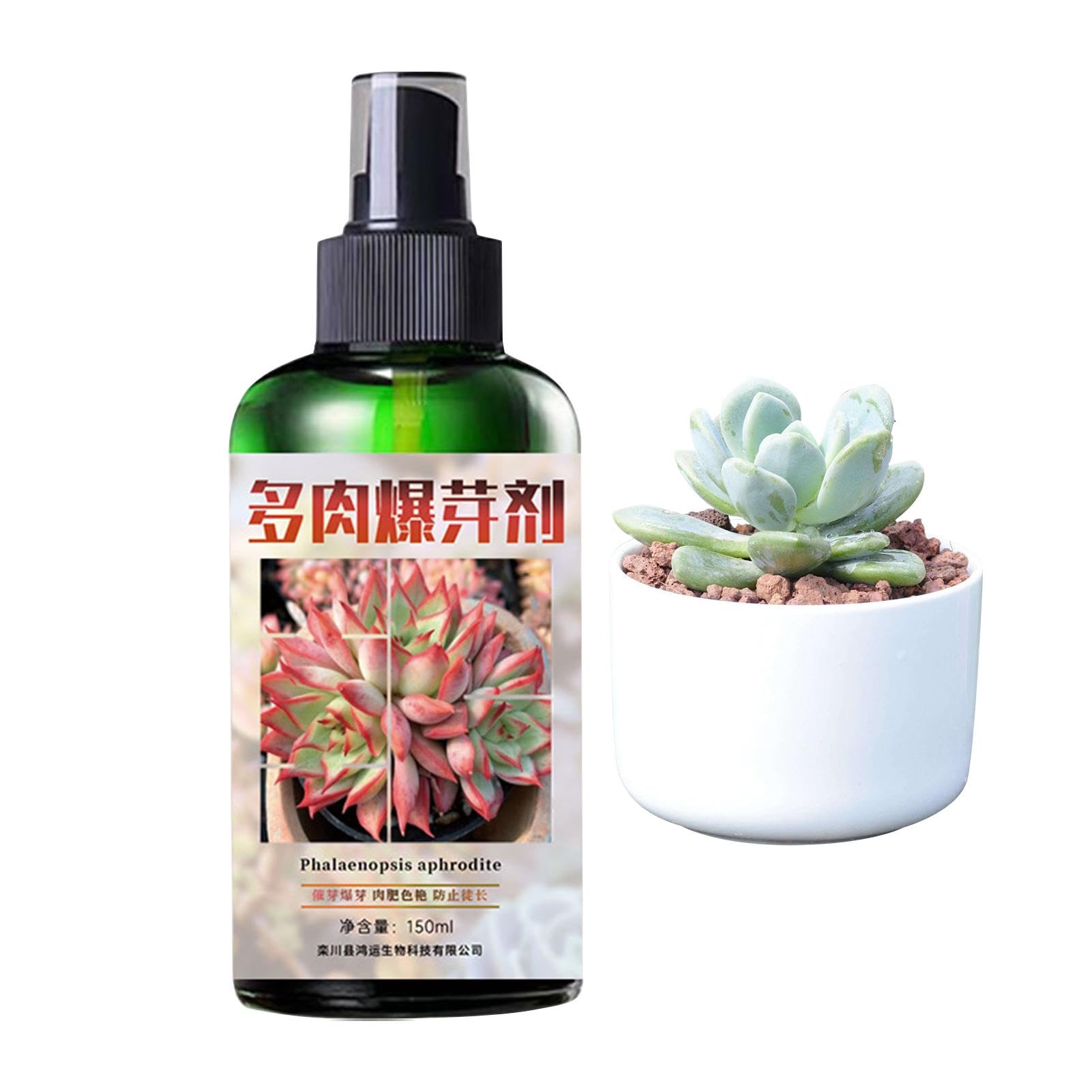Amazon.co.jp: Bvizyelck 多肉肥料液、多肉植物フード,ビスタ多肉植物