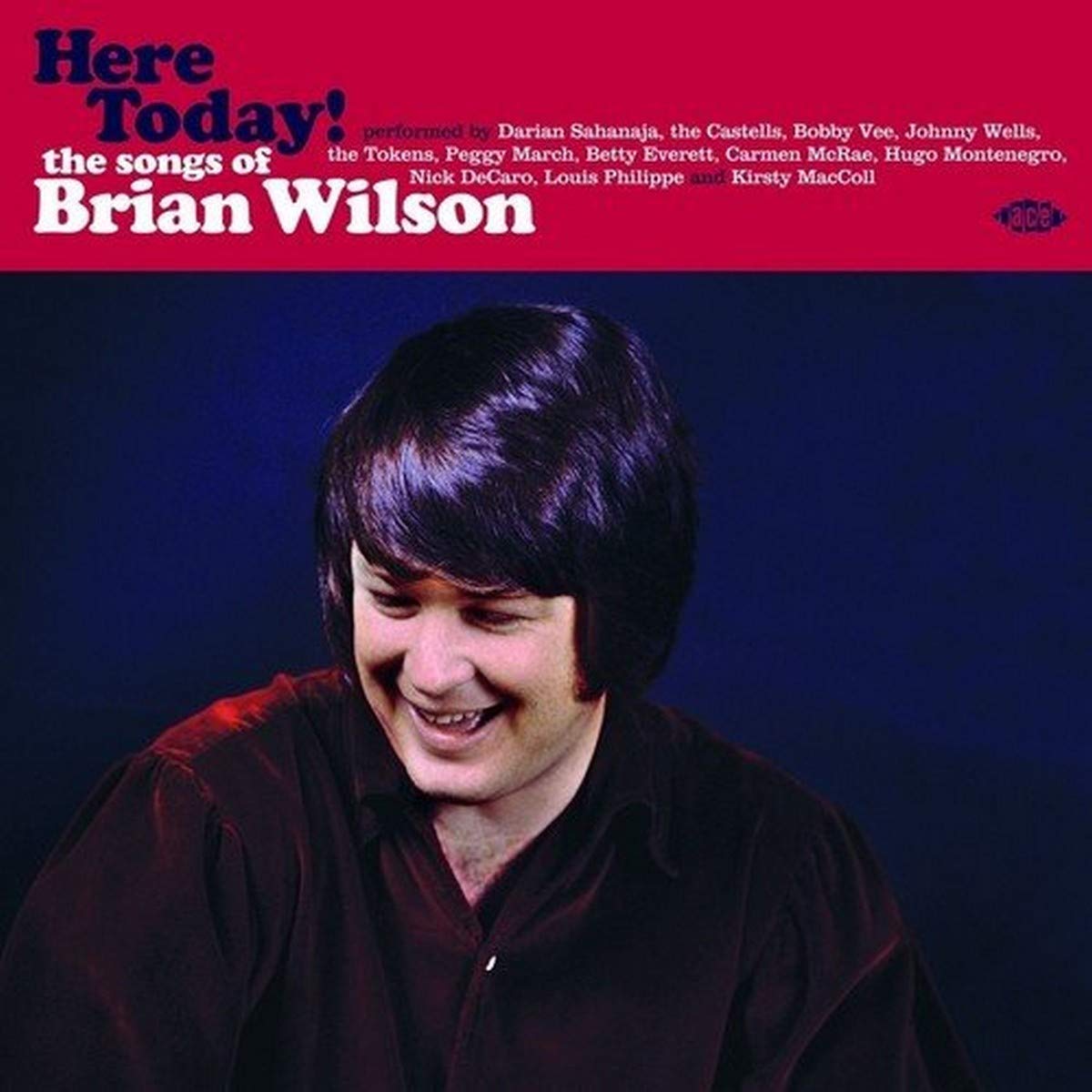 Here Today! The Songs Of Brian Wilson [VINYL]