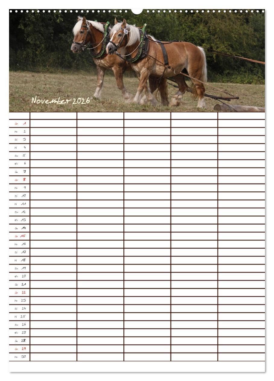 Der Kaltblut-Familienplaner (Wandkalender 2026 DIN A2 hoch), CALVENDO Monatskalender: Der Kaltblutkalender für die ganze Familie (CALVENDO Tiere)