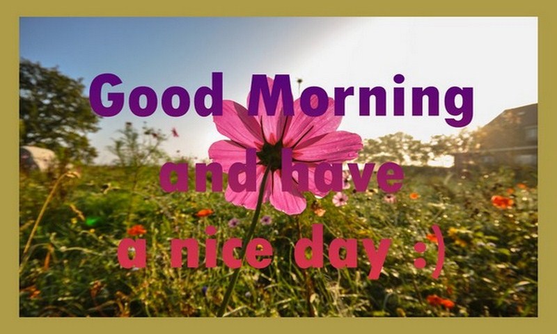 Good Morning Cards-Amazonアプリストアのアプリ