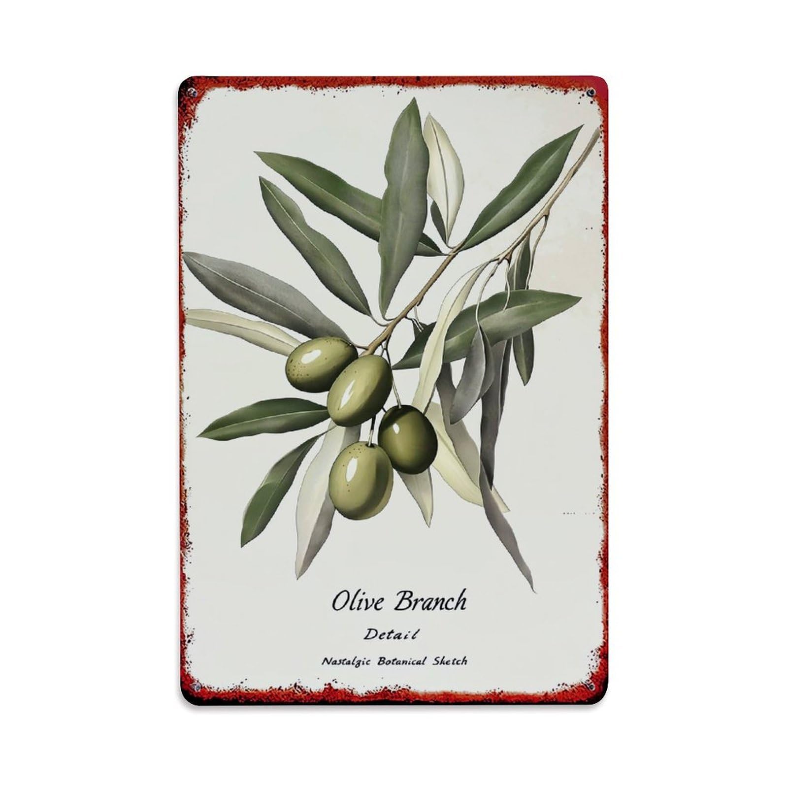 Jdfenggu Vintage Olive Branch Detail Botanical Sketch Nostalgic Retro Metal Tin Sign, Decor Art Poster For Bar, Home, Man Cave, Kitchen, Laundry Room Gift 8X12inch