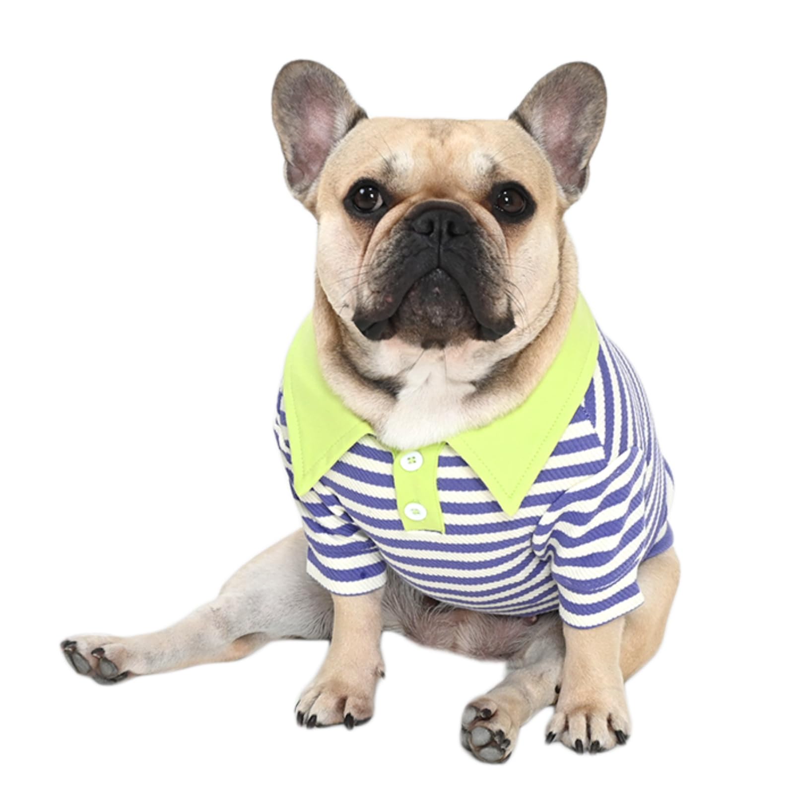 Amazon | FRENCH FRENCH ラガーシャツ ボーダー 犬 犬服 フレンチ 