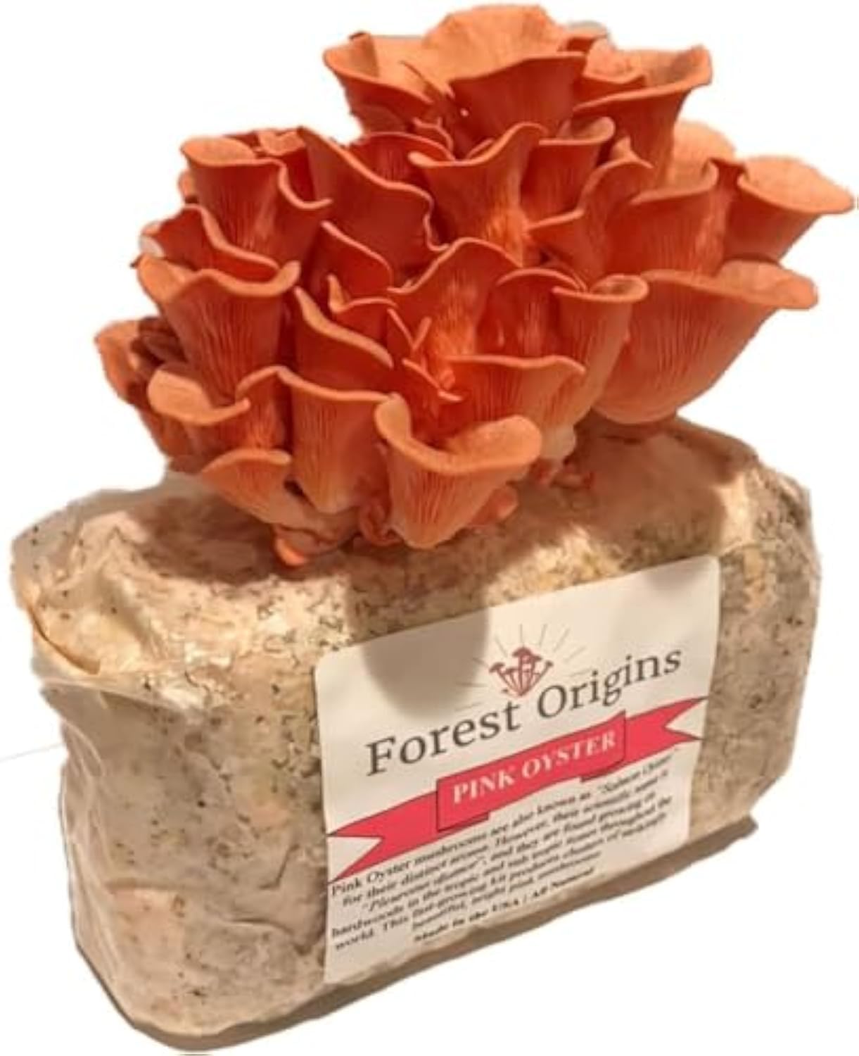 Forest Origins Pink Oyster Mushroom Grow Kit, Ready to Grow Indoors