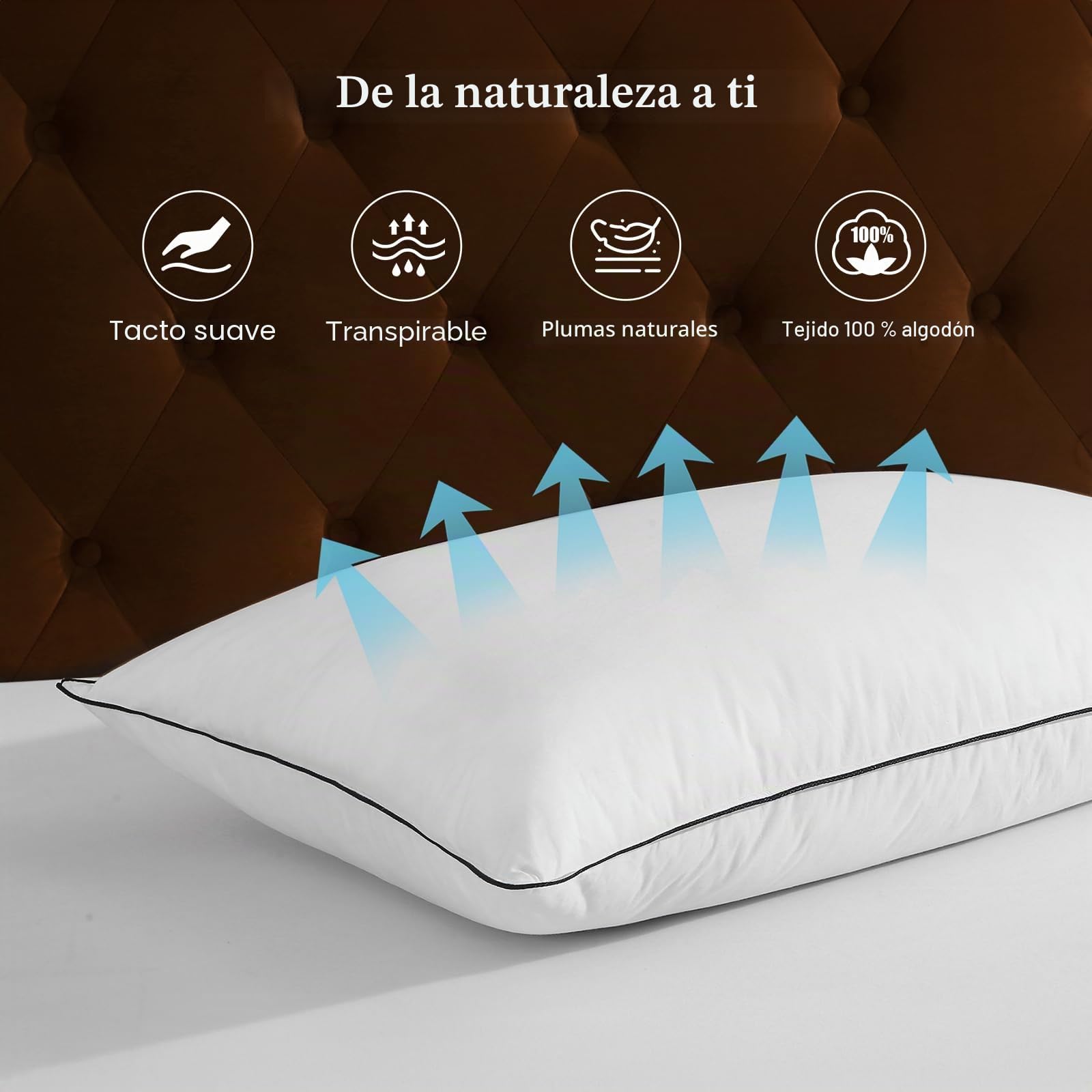 DWR Almohadas de Plumas y Plumón de Ganso,Paquete de 2 Lujosa Plumón de Plumas Orgánico Almohadas, Diseño de 3 Habitaciones, Relleno de Pluma de Ganso, Lavable a Máquina,Blanco 40x80cm
