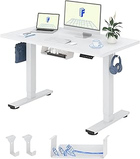 FlexiSpot Höhenverstellbarer Schreibtisch Basic–Mit Kabelmanagement, Haken und EINTEILIGER Tischplatte, Ergonomischer Homeoffice-Tisch, Bürotisch (120x60cm, Weiß)